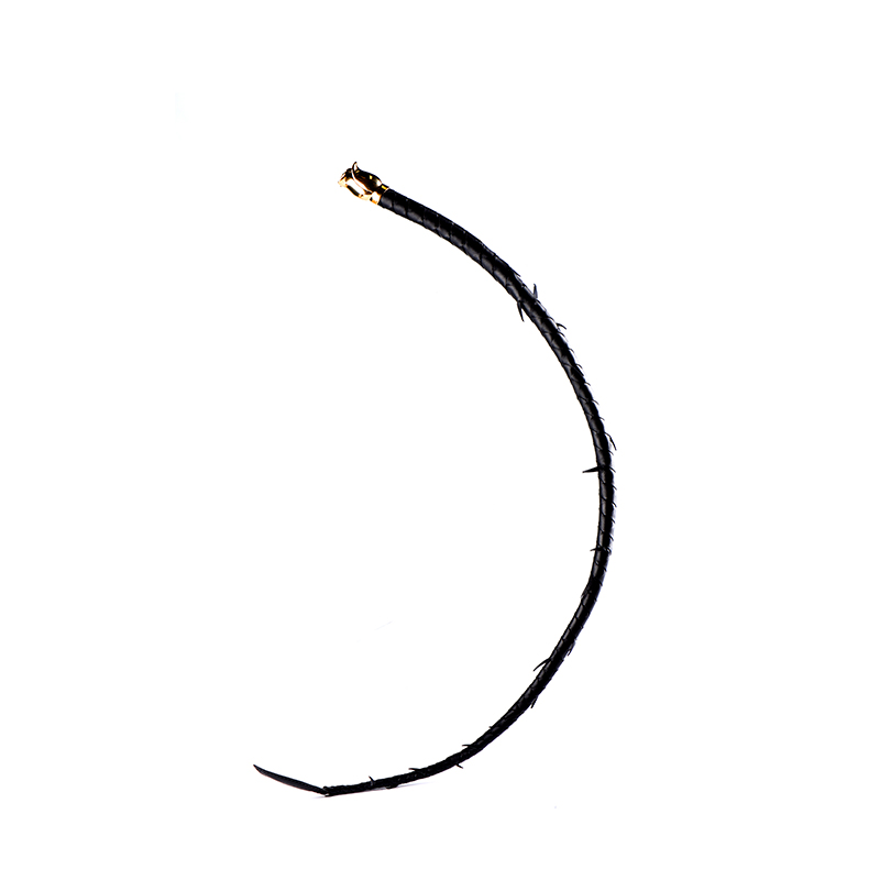  Leather Thorn Whip