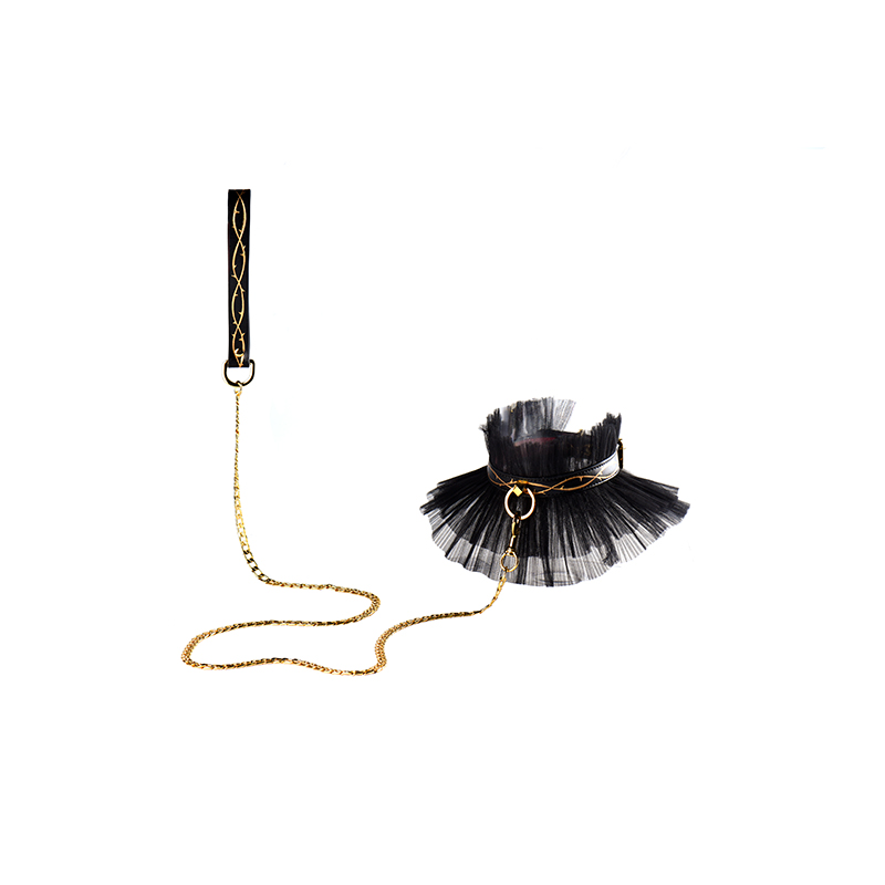 collar with chain leash